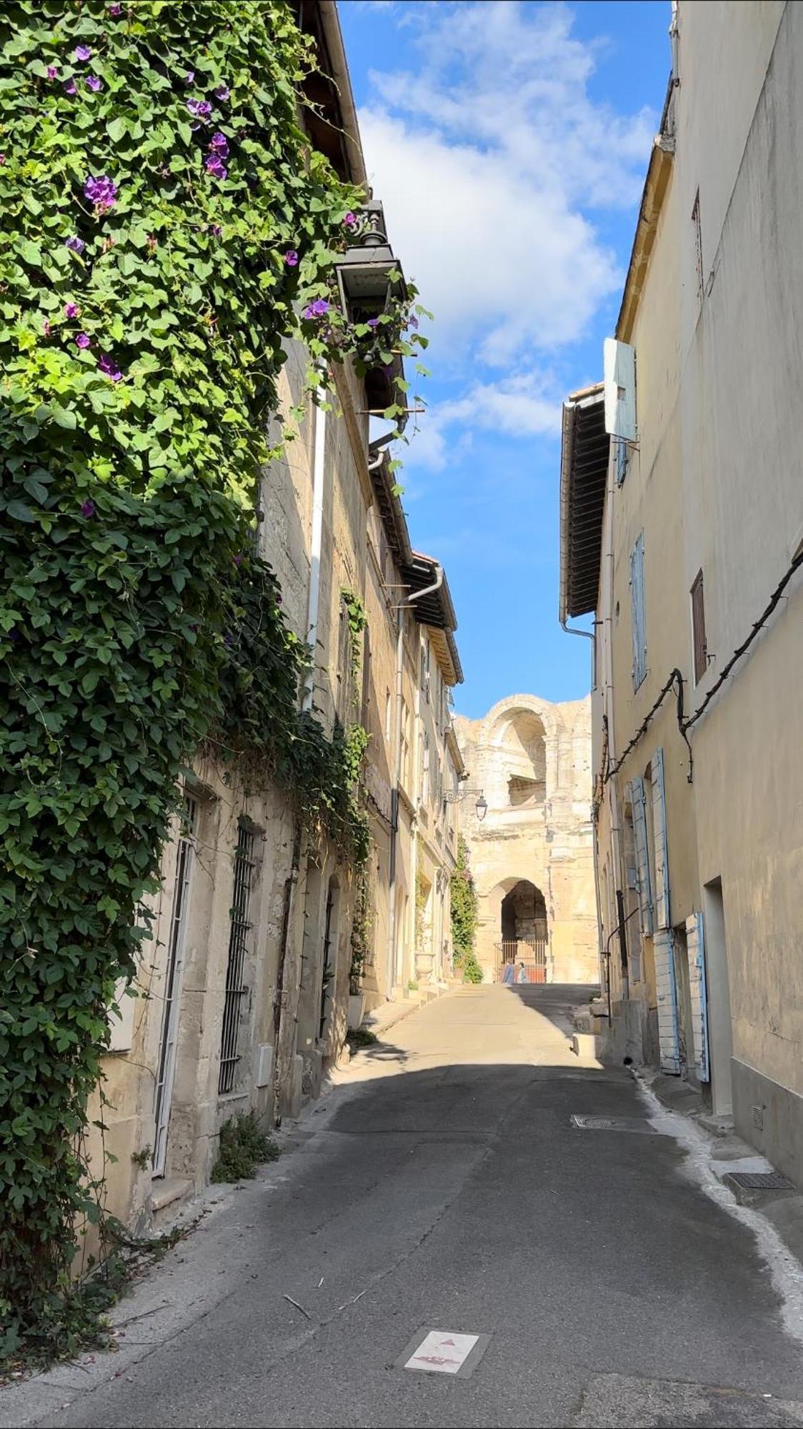 La Maison Des Hautures Arles Luaran gambar